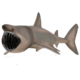 Un requin Pélerin à Belle-île