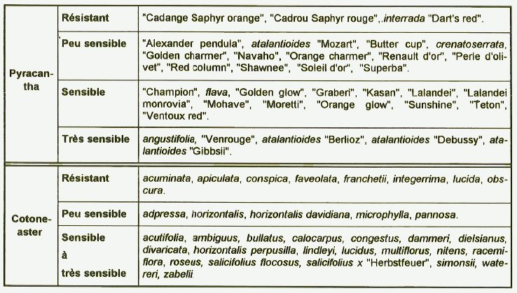 tableau sensibilite