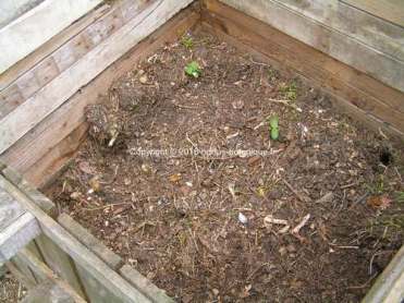 compost