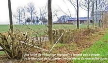 mauvais exemple taille
