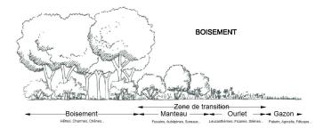 boisement