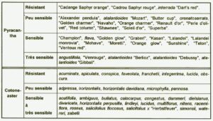 Lire la suite à propos de l’article Le feu bactérien sur les arbres fruitiers