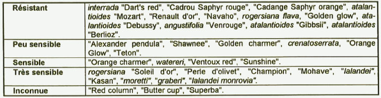 Lire la suite à propos de l’article Les tavelures des maloïdees