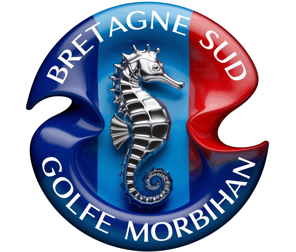 cropped logobsgm 1.png